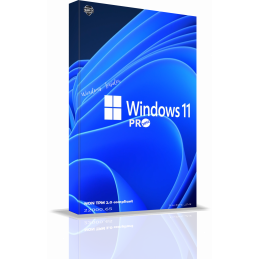 Windows 11 Pro 1 USER