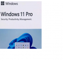 Windows 11 Pro License...