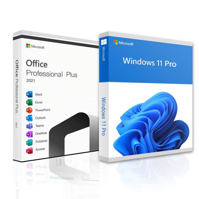 Microsoft Office Pro Plus 2021 Permanent license for 1 pc