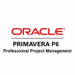 Oracle Primavera P6...