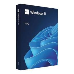 Windows 11 Pro License...